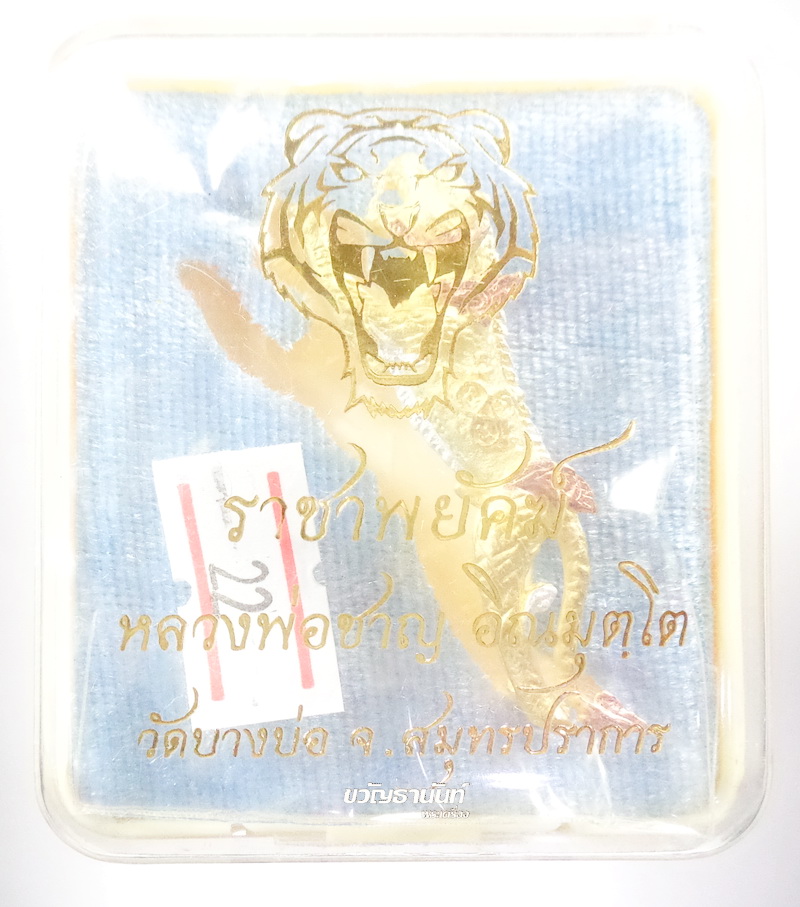 My Image 35