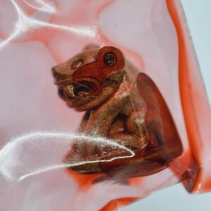 หลวงปู่แก้ว วัดแก่งดินสอ พยัคฆ์ราชาโชค แช่น้ำมันว่าน KA3434