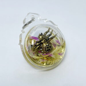 หลวงพ่อเมียน แมงมุมดักทรัพย์ แช่น้ำมันโภคทรัพย์  (KN10)