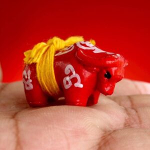 พระครูบากิตติชัย วัดปางมะกง ควายธนูอัคนี เจ้าทองแดง (KN5)