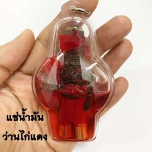 หลวงพ่อเมียน วัดบ้านจะเนียง พ่อหุ่นยนต์มหาละลวย KM389