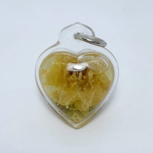 ครูบาแบ่ง วัดบ้านโตนด น้ำมันรักซ้อน มีแต่คนรัก คนชังไม่มี (KN11)