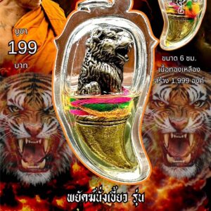 หลวงพ่อเมียน วัดบ้านจะเนียง พยัคฆ์นั่งเขี้ยว พยัคฆ์อาคมมหาเดช