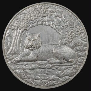 พระอาจารย์ประสูติ วัดในเตา เหรีญญองค์คร พญาเสือเฒ่านอนกิน