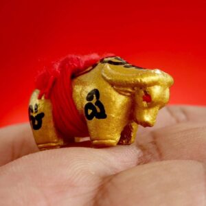 พระครูบากิตติชัย วัดปางมะกง ควายธนูอัคนี เจ้าทองคำ (KN3)