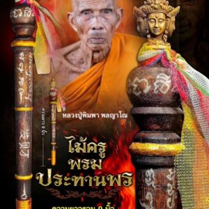 หลวงปู่พิมพา พลญาโณ วัดกลางเม็กดำ ไม้ครูพรมประทานพร