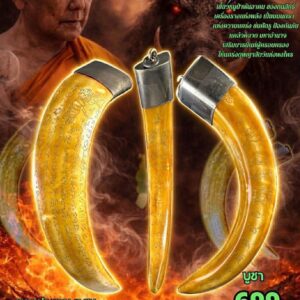 หลวงพ่อเมียน วัดบ้านจะเนียงวนาราม จ.บุรีรัมย์ เขี้ยวหมูป่า พันอาคม