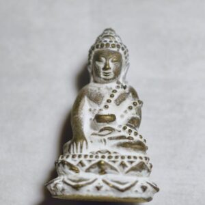 สมเด็จญาณสังวร พระกริ่งเจริญพร โภคทรัพย์ไพศาลี AC3244