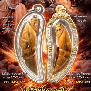 หลวงปู่แก้ว วัดแก่งดินสอ จังหวัดปราจีนบุรี พยัคฆ์มหาเตโช