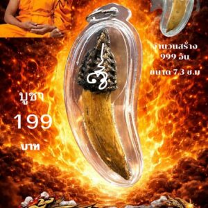 หลวงพ่อเมียน วัดบ้านจะเนียงวนาราม จ.บุรีรัมย์ เขี้ยวหมูป่า คงกระพัน