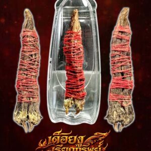 หลวงพ่อเมียน วัดบ้านจะเนียงวนาราม บุรีรัมย์ เดือยงู เรียกทรัพย์