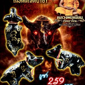 หลวงพ่อเมียน วัดบ้านจะเนียง ควายธนูมหาเวทย์ เนื้อดินเจ็ดป่าช้า