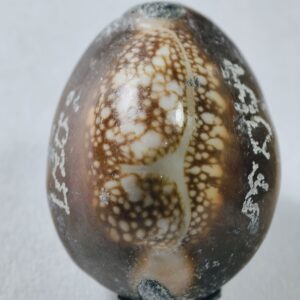 หลวงปู่บัว ถามโก เบี้ยแก้ 9 มหาฤกษ์ 9มหาชัย 200 ปี (AC7283)