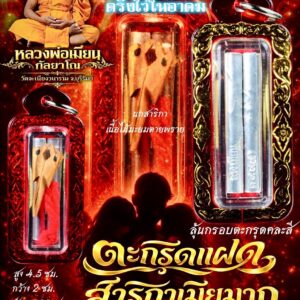 หลวงพ่อเมียน วัดบ้านจะเนียงวนาราม ตะกรุดแฝด สาริกาเมียมาก