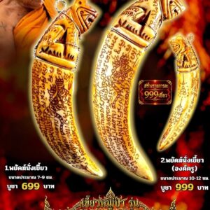หลวงพ่อเมียน เขี้ยวหมูป่า พยัคฆ์โฆจะมหายันต์พันฤทธิ์