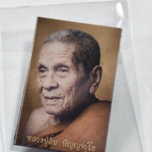 หลวงปู่อิ่ม วัดทุ่งนาใหม่ จารมือ เมตตาบารมี หมายเลข 168 AC2421