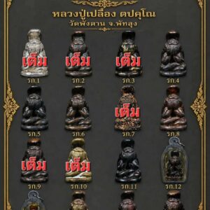 หลวงปู่เปลื้อง วัดพังดาน จังหวัดพัทลุง พระปิดตาปรกงู รุ่นแรก