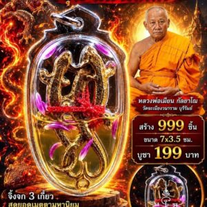 หลวงพ่อเมียน วัดบ้านจะเนียงวนาราม จิ้งจก 3 เกี้ยว รุ่น มหาเสน่ห์