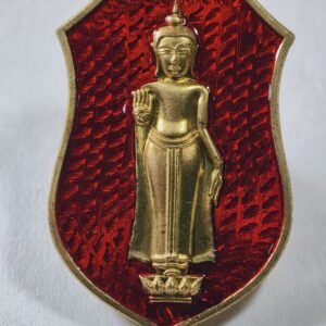 หลวงพ่อธรรมจักร วัดธรรมามูล มหาพุทธานุภาพ สองราช AC9372