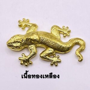 อาจารย์เขียว เทพทอง หลวงพ่อวัลลพ จิ้งจก ปี 2566 (KN6052666)