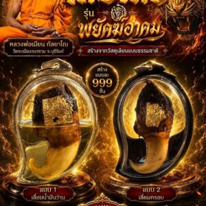 หลวงพ่อเมียน วัดบ้านจะเนียงวนาราม  เล็บเสือ รุ่น พยัคฆ์อาคม