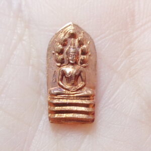 หลวงปู่อินทร์ วัดบัว ปรกใบมะขาม รุ่น สร้างบารมี๘๕ เนื้อทองแดง (KN236269)