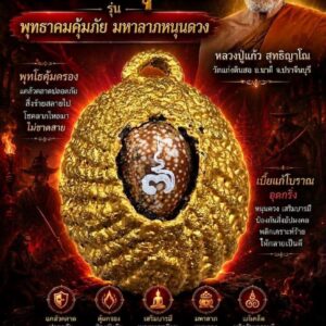 หลวงปู่แก้ว วัดแก่งดินสอ เบี้ยแก้พุทโธ รุ่น พุทธาคมคุ้มภัย มหาลาภหนุนดวง