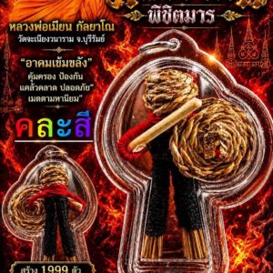 หลวงพ่อเมียน วัดบ้านจะเนียงวนาราม หุ่นพยนต์นักสู้ มหาอาคมพิชิตมาร