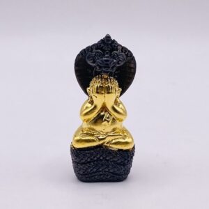 หลวงปู่คำบุ วัดกุดชมภู พระปิดตานาคราช รุ่น มงคลนาคราช (KM27265)