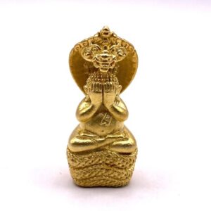 หลวงปู่คำบุ วัดกุดชมภู พระปิดตานาคราช รุ่น มงคลนาคราช (KM27266)