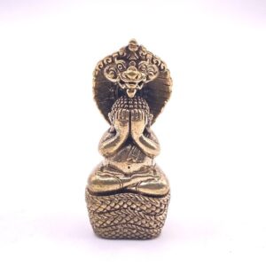 หลวงปู่คำบุ วัดกุดชมภู พระปิดตานาคราช รุ่น มงคลนาคราช เนื้อทองขาว (KM27267)