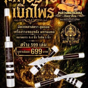 หลวงพ่อเมียน วัดบ้านจะเนียงวนาราม มีดหมอเทพศาสตรา มหาปราบเบิกไพร
