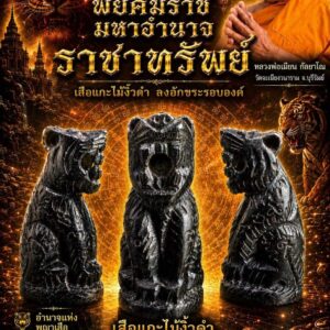 หลวงพ่อเมียน วัดบ้านจะเนียงวนาราม เสือพยัคฆ์ราช มหาอำนาจ ราชาทรัพย์