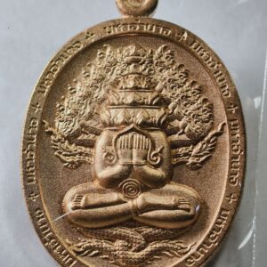 หลวงปู่อิ่ม วัดทุ่งนาใหม่ เหรียญปิดตาพังพระกาฬ หมายเลข 6 AC9872