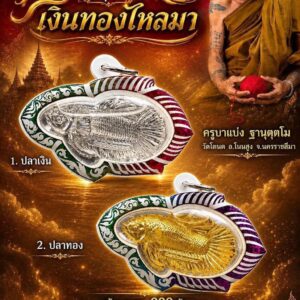 ครูบาแบ่ง ฐานตฺตโม วัดบ้านโตนด ปลาเงินปลาทอง รุ่น เงินทองไหลมา