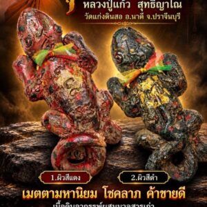 หลวงปู่แก้ว สุทธิญาโณ วัดแก่งดินสอ ตุ๊กแกมหาลาภ ขนาดบูชา18ซม.